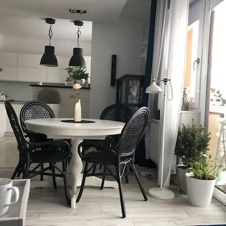 Apartament Brzozowica * Bedzin